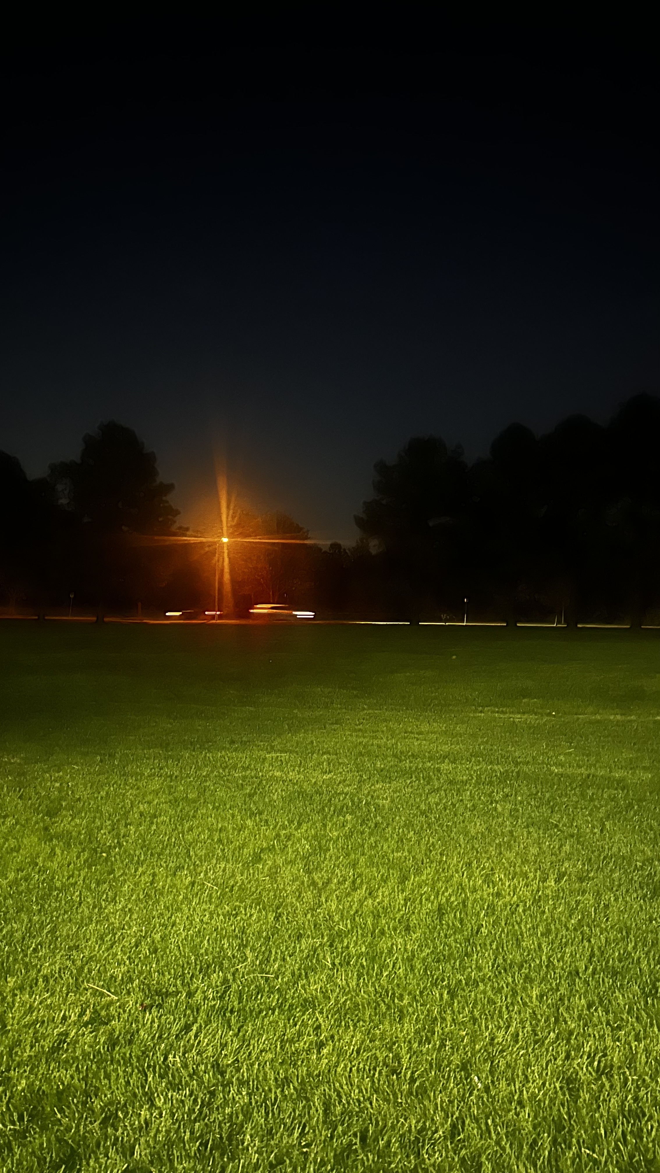 Open Grassy Field